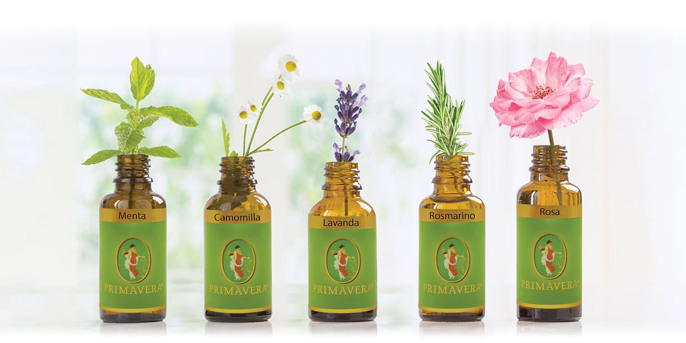 Trade Shop - Set 12 Oli Essenziali Biologici Naturali Al 100% Puri Per  Diffusori Aromaterapia