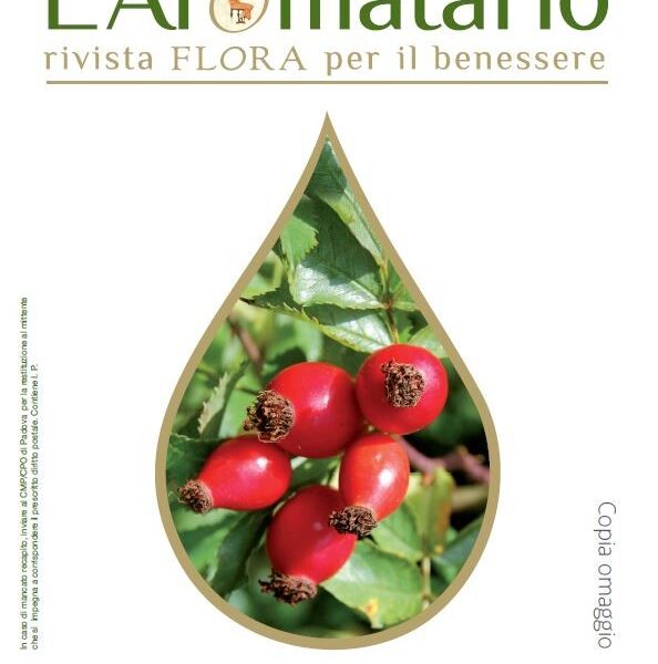 L'Aromatario n°15 - L'olio di Rosa Mosqueta