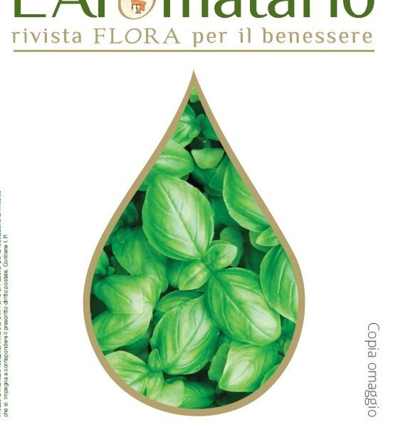 L'Aromatario n°16 - Il Basilico