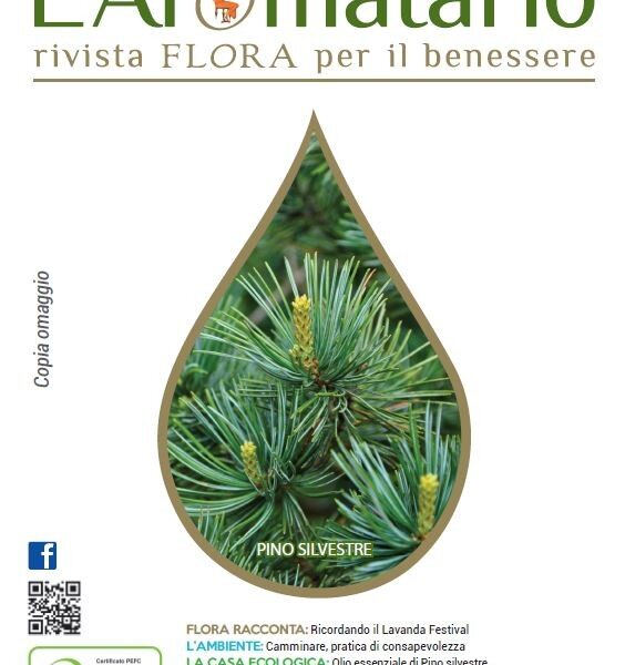 L'Aromatario n° 30 - Il Pino Silvestre