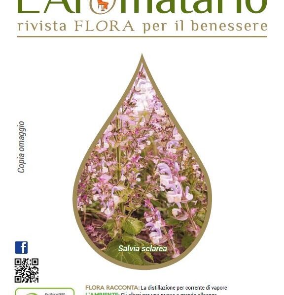 L'Aromatario n° 31 - La Salvia Sclarea