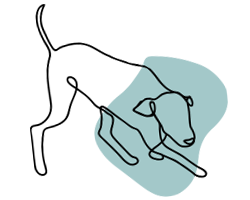 PET BIO