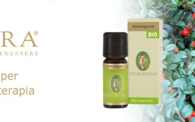 Olio essenziale di wintergreen: l’alleato degli atleti